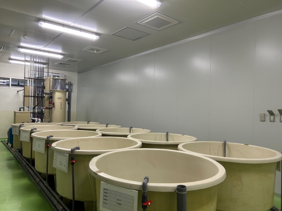 大型循環式養殖槽-相同水體設計的循環過濾系統，後方具有大型蛋白除沫器、臭氧機、紫外線殺菌機及過濾設備，適合多組別或大規模性實驗。