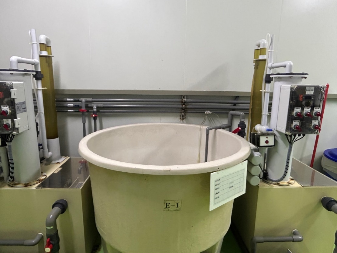 獨立循環式養殖槽-具有獨立蛋白除沫器、臭氧機、紫外線殺菌機及過濾設備,可使用於水生動物檢疫、飼養方法建立或是小型藥物及攻毒型實驗等。