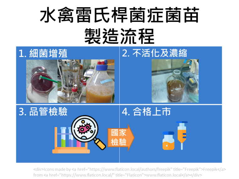 水禽雷氏不活化菌苗製造流程