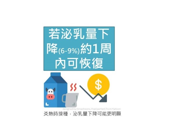 泌乳量下降6-9%,約一週內可恢復