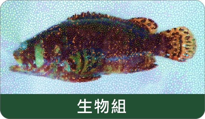 生物組