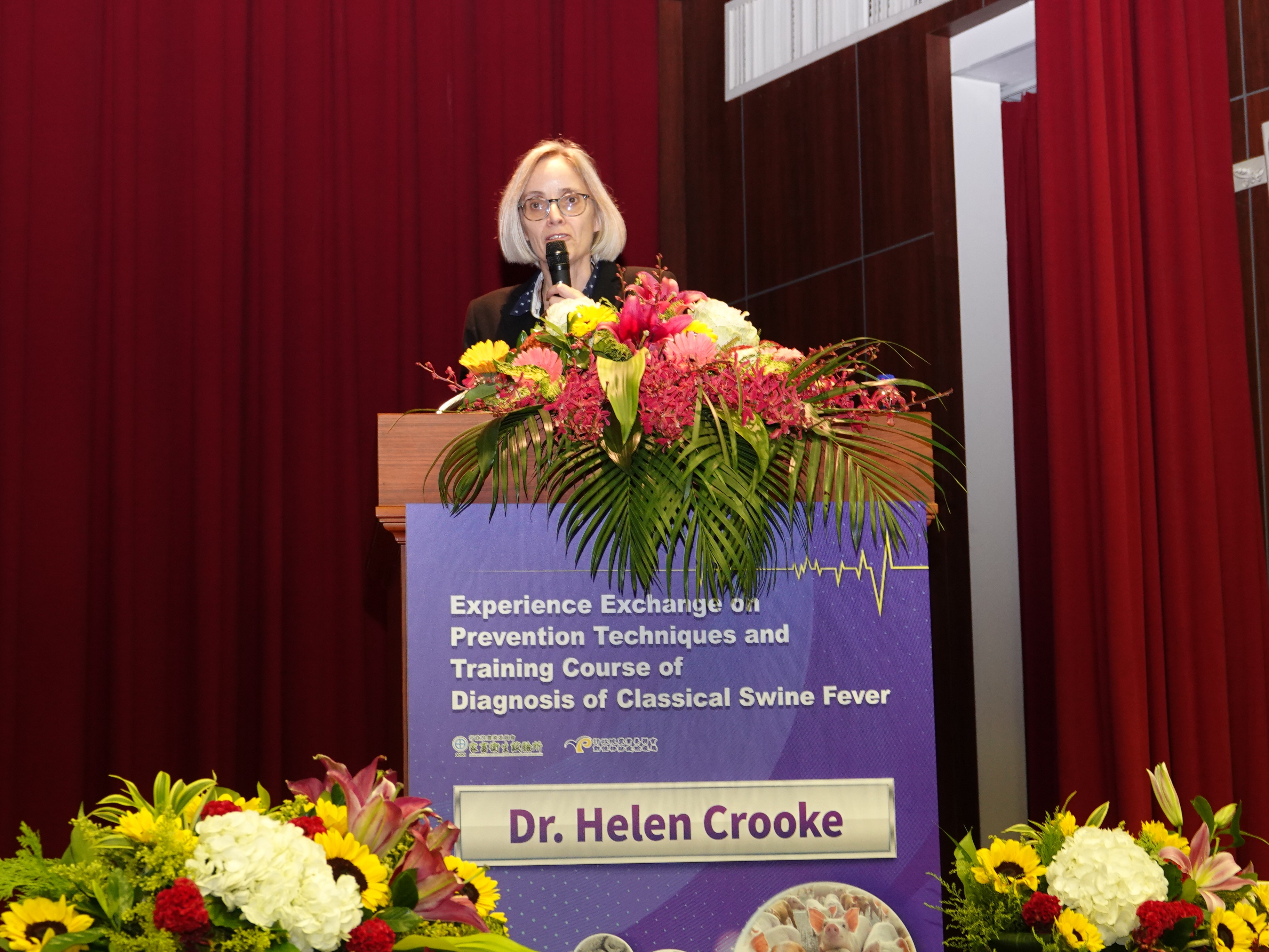 英國動植物健康局Helen Crooke報告博士：較好的豬瘟疫苗(從C strain獲取經驗)