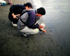 野鳥排遺採樣